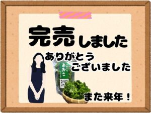 伊勢志摩あおさ完売